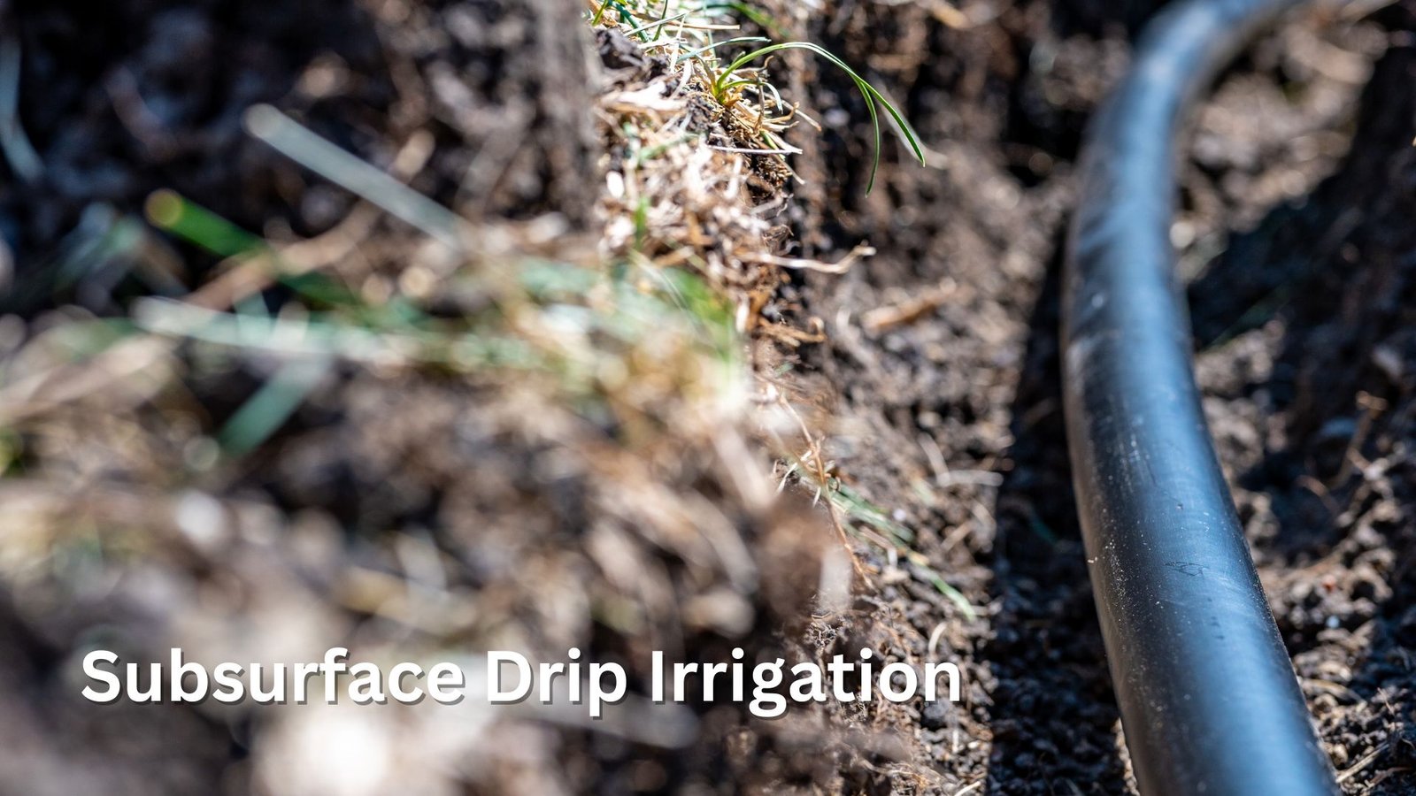 Trickle drip installation in garden